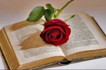 Sant Jordi, el día que Barcelona brilla más