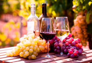 Vinos de Cataluña. Todas las D.O.